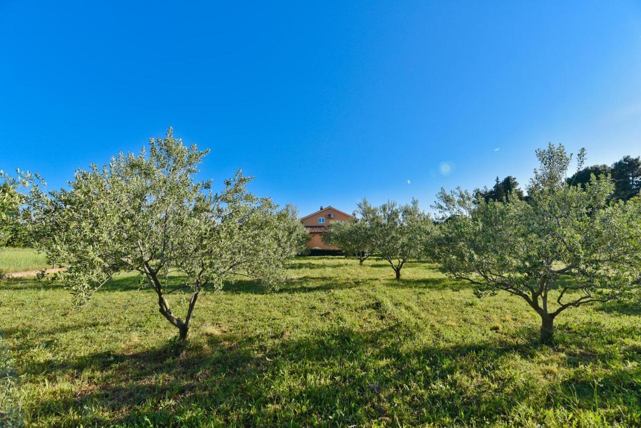 Holiday Home Taras Smilcic Eksteriør bilde